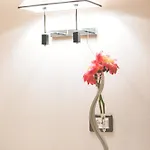 Hotel Il Cantagalli 4*